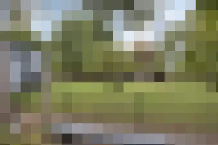 Marsanahof 79 Maastricht thumbnail 32