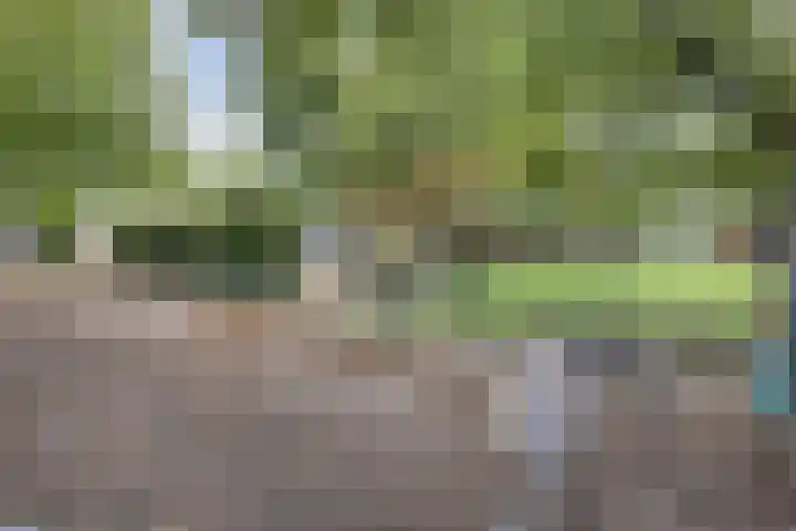 Marsanahof 79 Maastricht thumbnail 33
