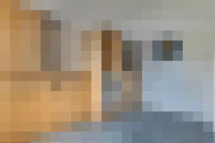 Marsbaan 6 Franeker thumbnail 24