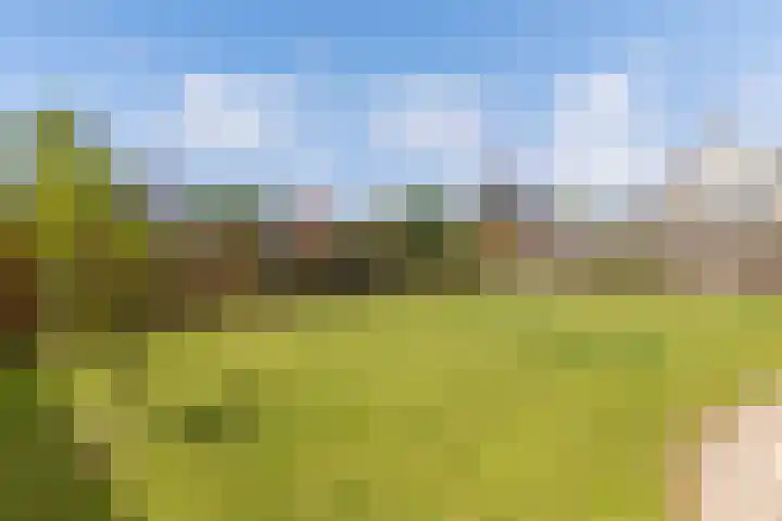 Marsbaan 6 Franeker thumbnail 28