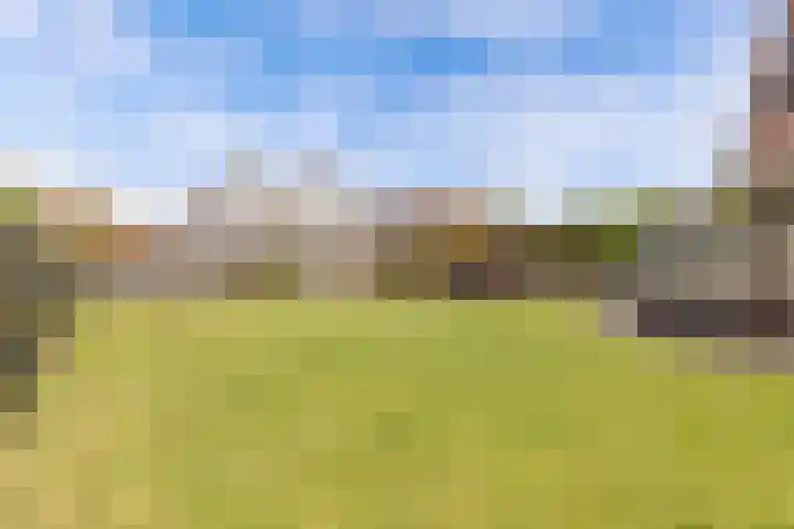 Marsbaan 6 Franeker thumbnail 29