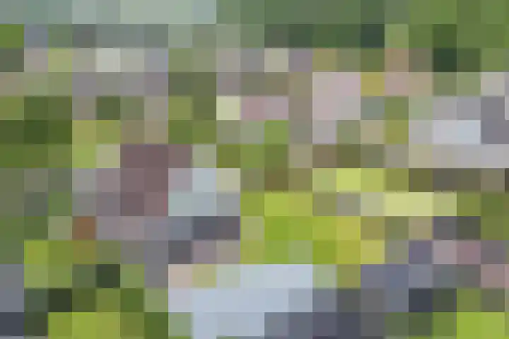 Marsbaan 6 Franeker thumbnail 35