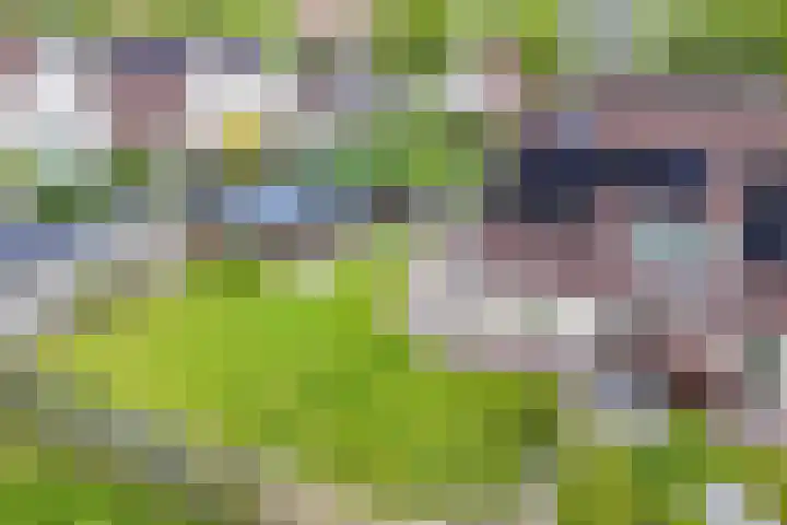 Marsbaan 6 Franeker thumbnail 37