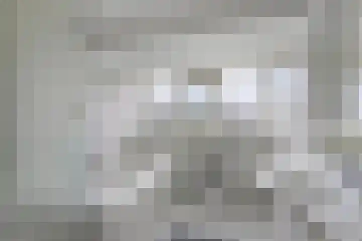 Marsbaan 6 Franeker thumbnail 47