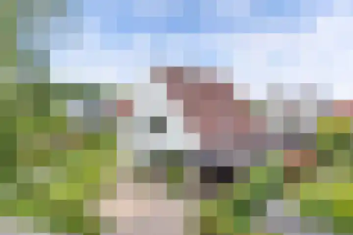 Marsbaan 6 Franeker thumbnail 5