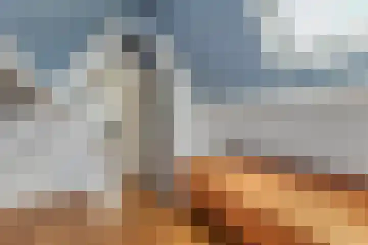Marsbaan 6 Franeker thumbnail 51