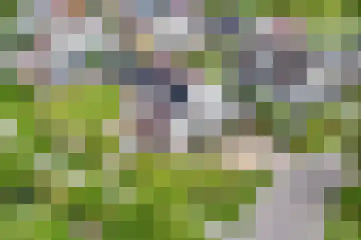 Marsbaan 6 Franeker thumbnail 8