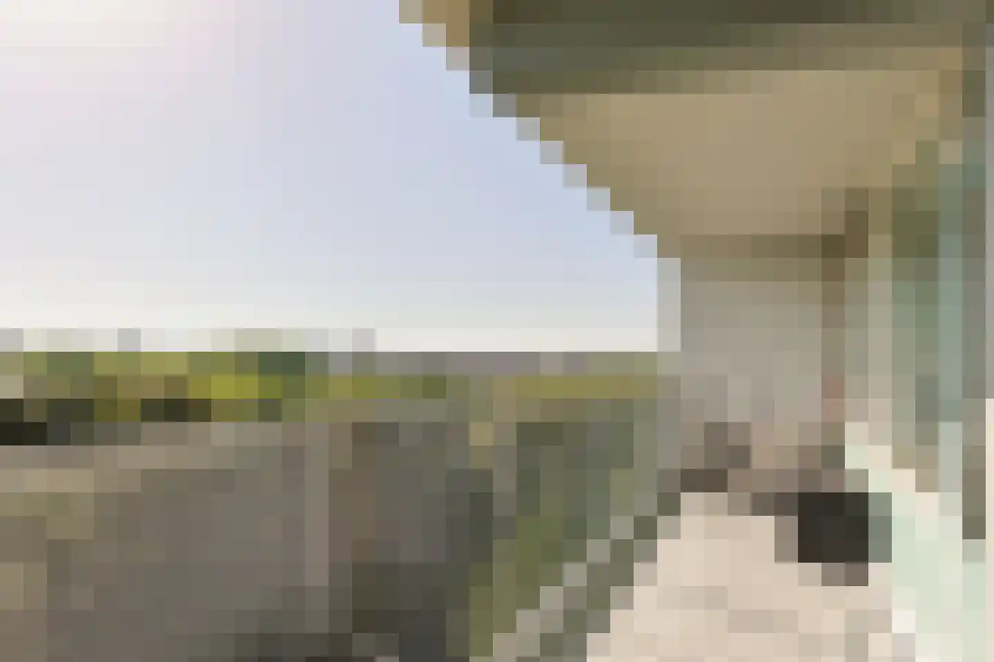 Marsdiep 103 Alphen aan den Rijn thumbnail 28