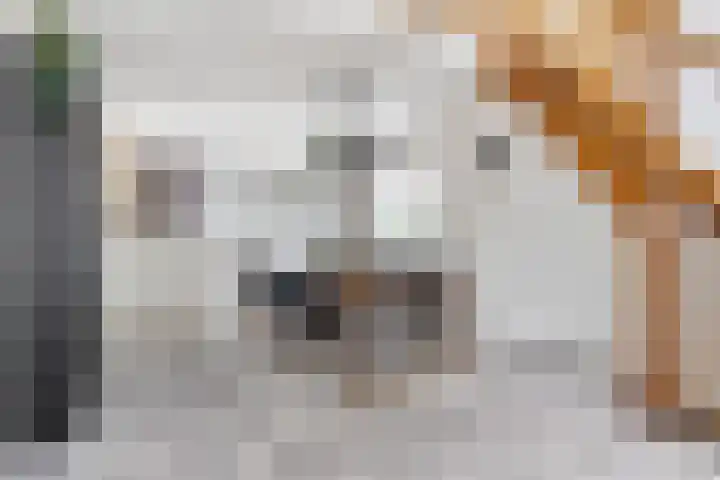 Marsdiep 103 Sneek thumbnail 13