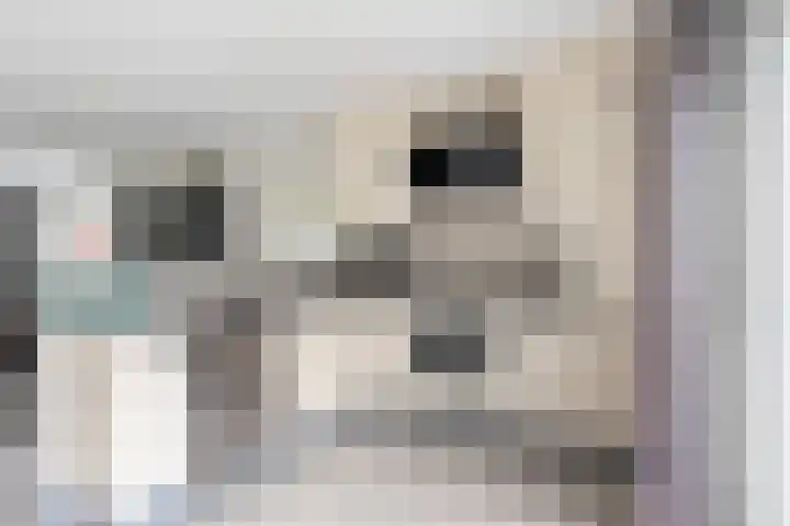 Marsdiep 103 Sneek thumbnail 16