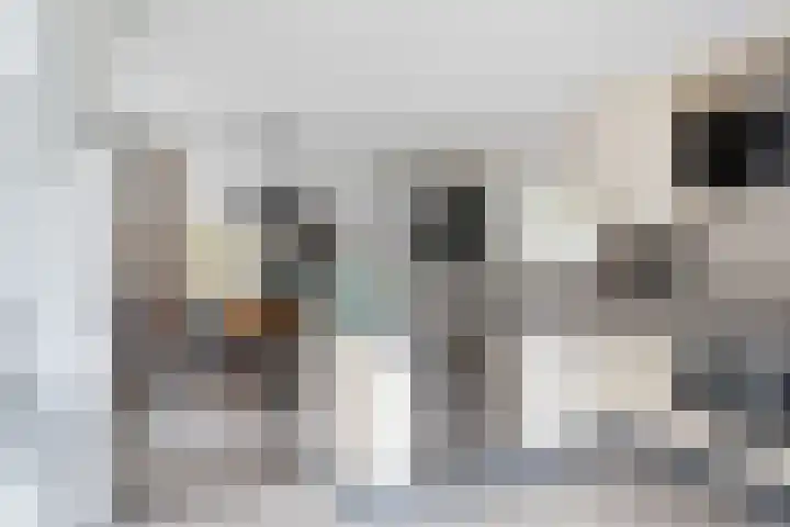 Marsdiep 103 Sneek thumbnail 17