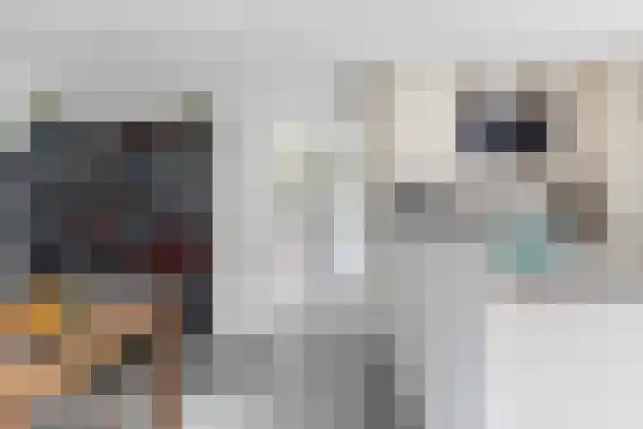 Marsdiep 103 Sneek thumbnail 18
