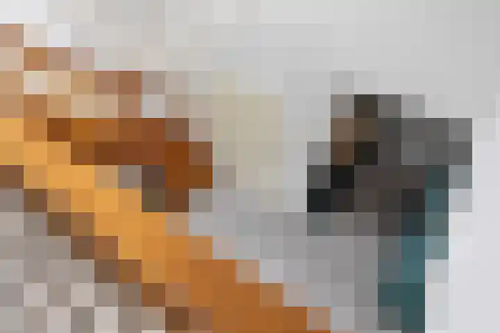 Marsdiep 103 Sneek thumbnail 27