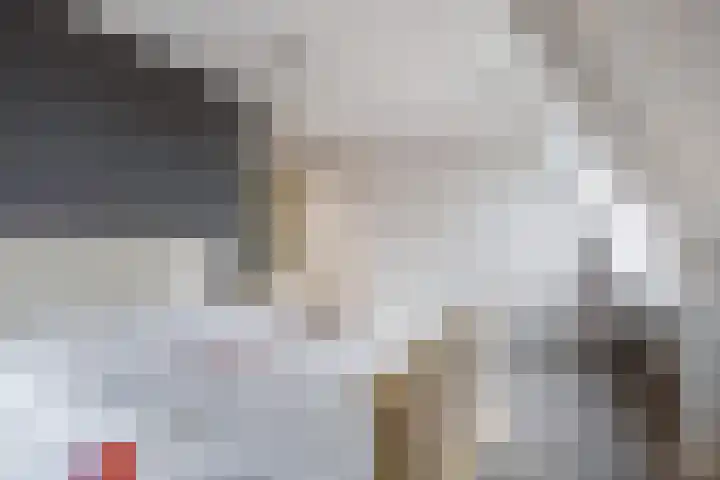Marsdiep 103 Sneek thumbnail 30