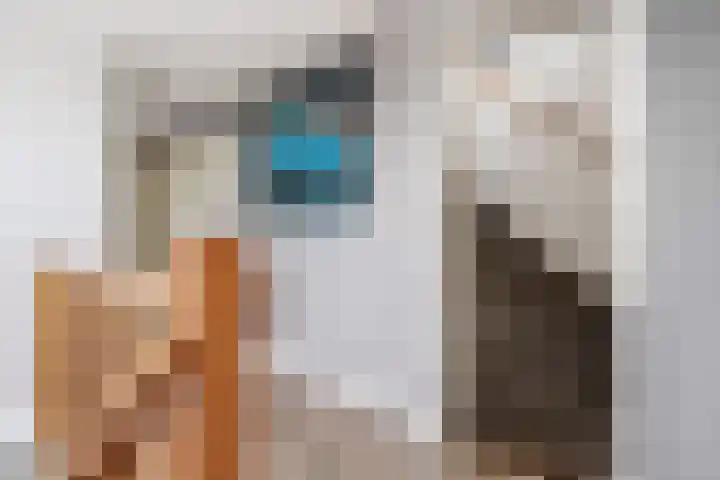 Marsdiep 103 Sneek thumbnail 38