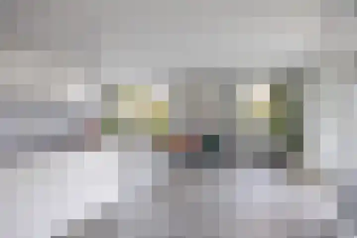 Marsdiep 113 Sneek thumbnail 14