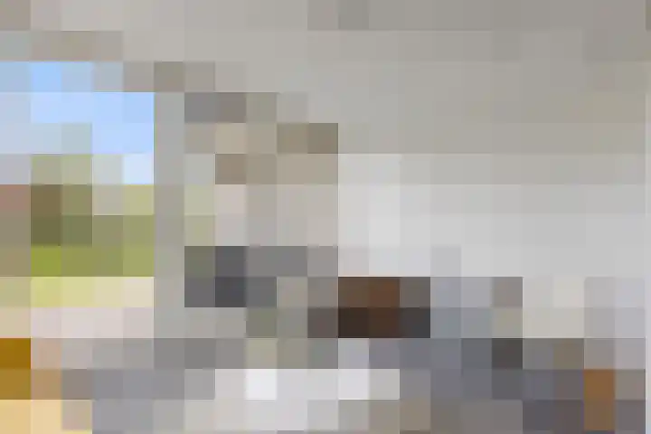 Marsdiep 113 Sneek thumbnail 19