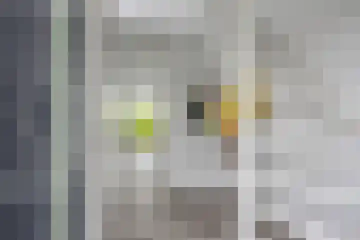 Marsdiep 113 Sneek thumbnail 20