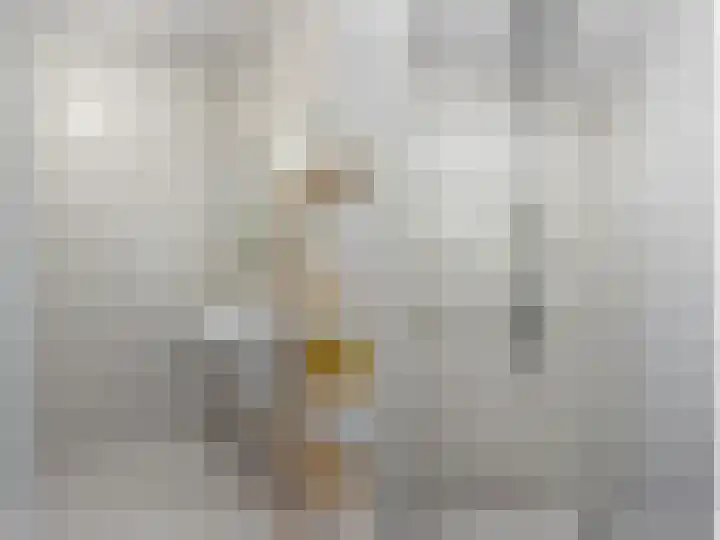 Marsdiep 113 Sneek thumbnail 21