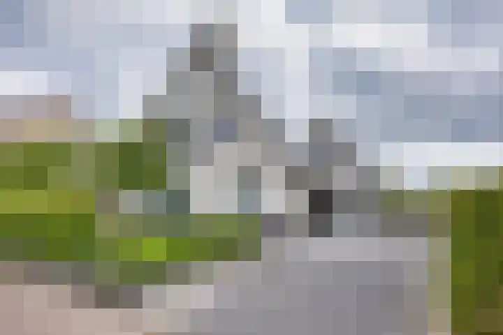 Marsdiep 113 Sneek thumbnail 4