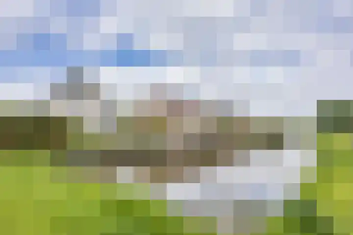 Marsdiep 113 Sneek thumbnail 45