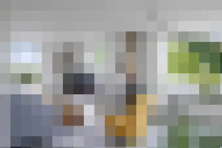 Marsdiep 113 Sneek thumbnail 6