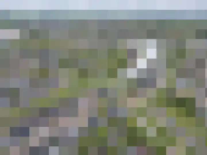 Marsdiep 113 Sneek thumbnail 60