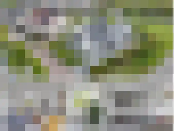 Marsdiep 113 Sneek thumbnail 62
