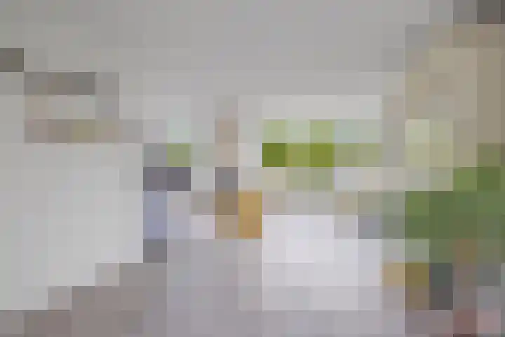 Marsdiep 113 Sneek thumbnail 9