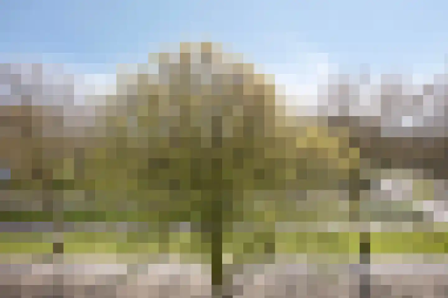 Marsdiep 273 Alphen aan den Rijn thumbnail 29