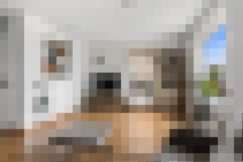 Marsdiep 41 Sneek thumbnail 4