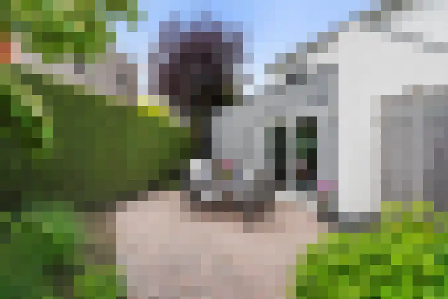 Marsdiep 56 Kaatsheuvel thumbnail 43
