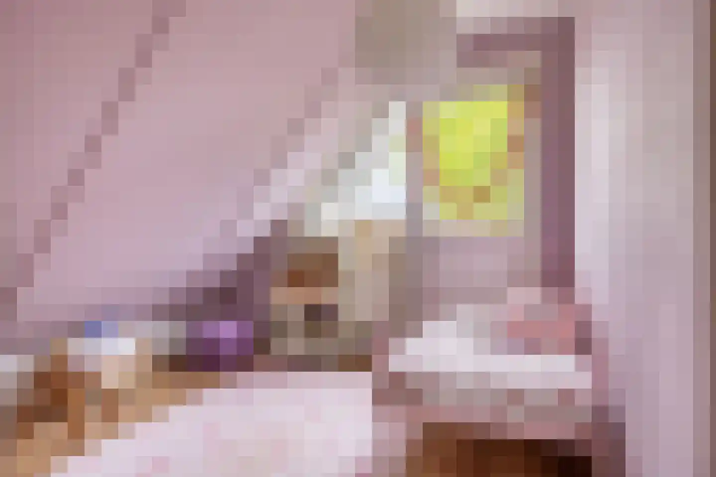Marsdiep 61 Sneek thumbnail 28