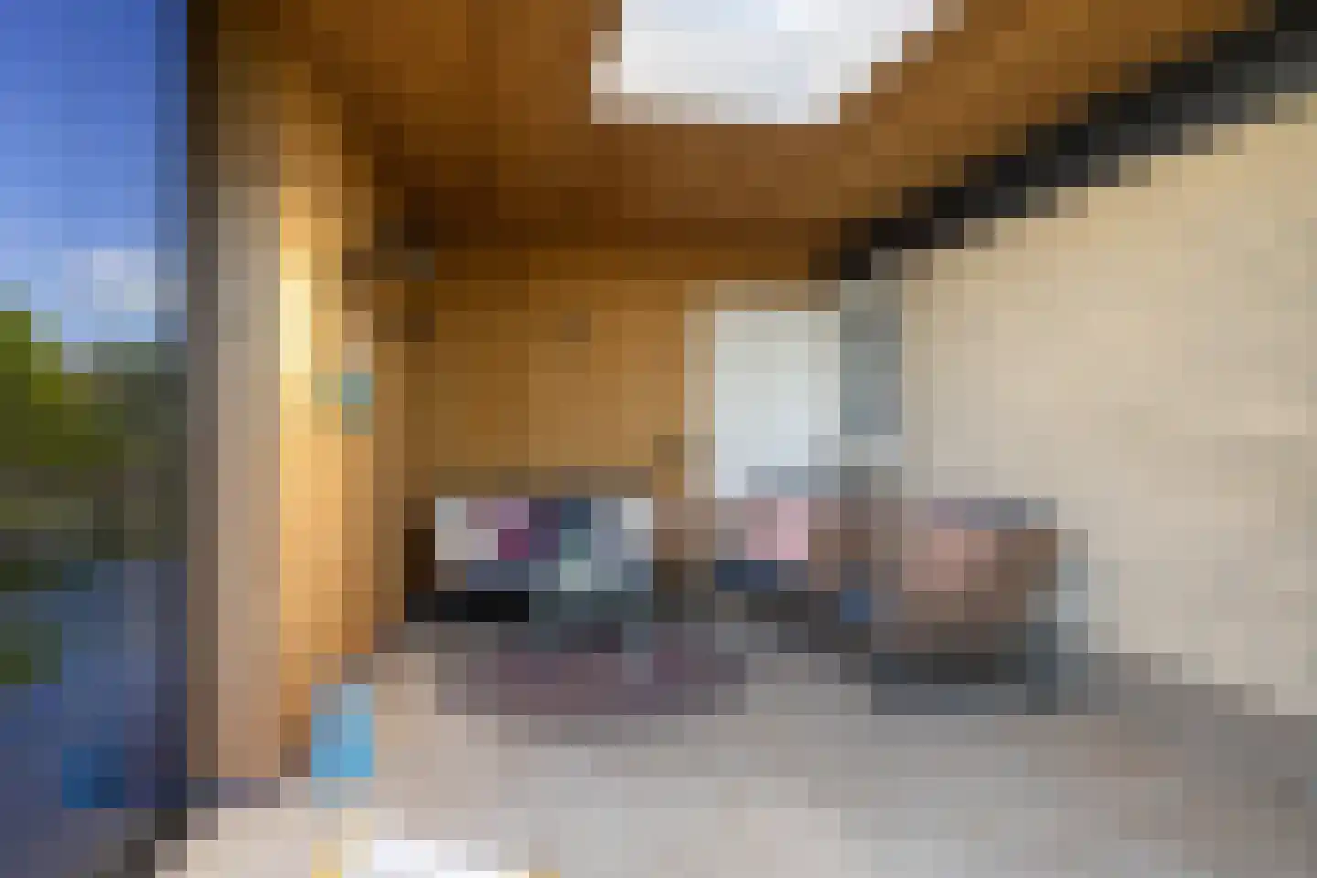 Marsdiep 61 Sneek thumbnail 53
