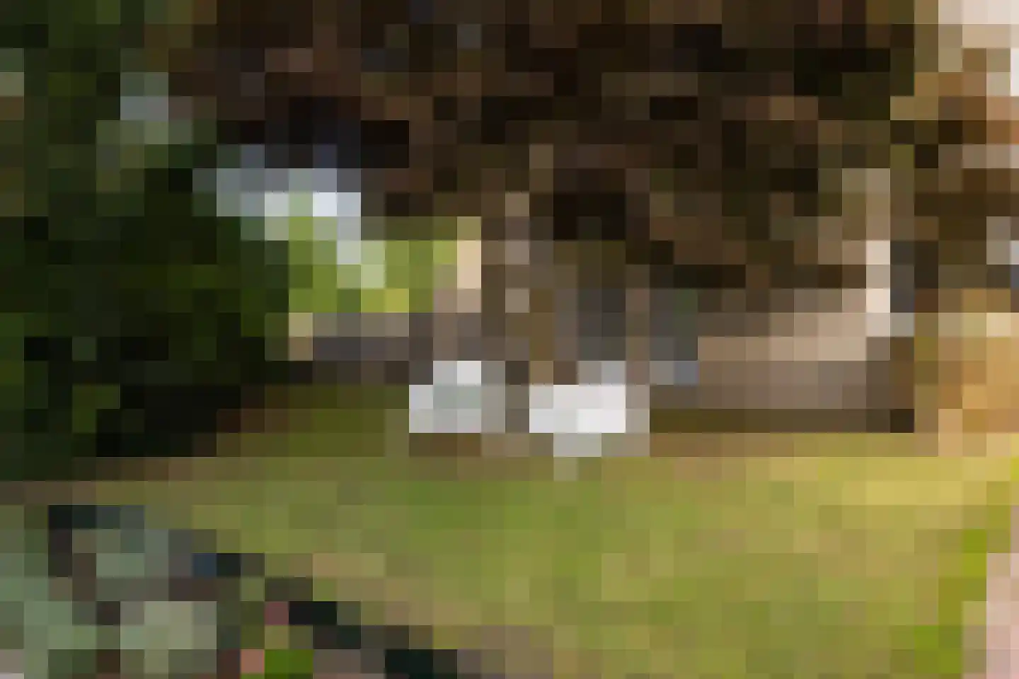 Marsdiep 61 Sneek thumbnail 9