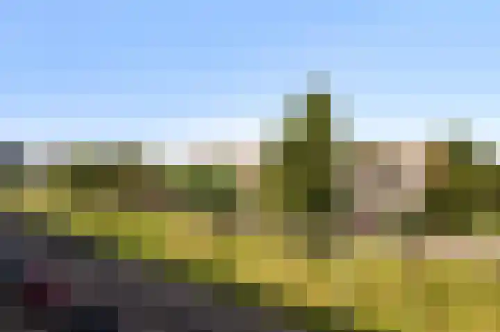 Marsdiepstraat 153 Den Helder thumbnail 8