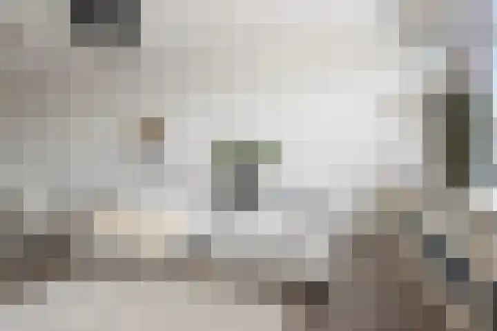 Marsdiepstraat 279 Den Helder thumbnail 8