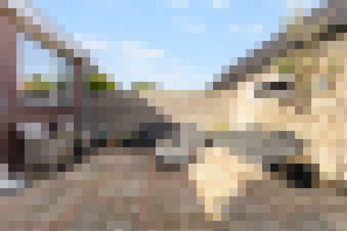 Marsdiepstraat 49 Den Helder thumbnail 28