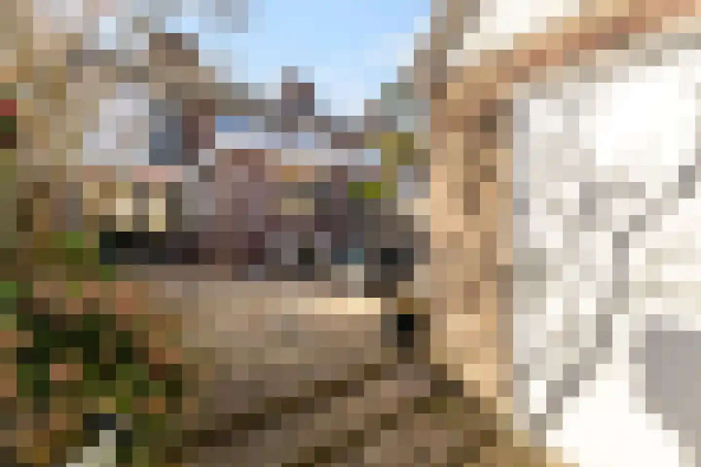Marsdiepstraat 49 Den Helder thumbnail 4