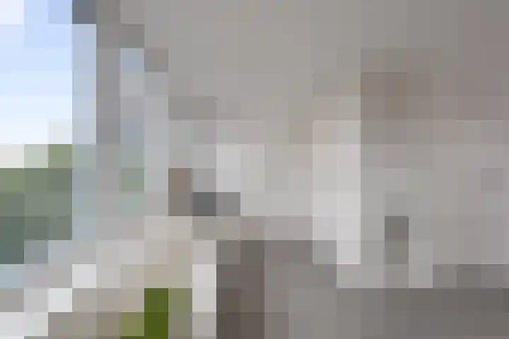 Marsdiepstraat 506 Den Helder thumbnail 34