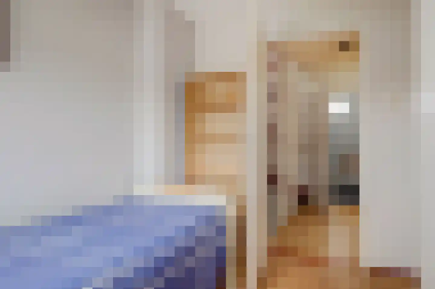 Marsdiepstraat 514 Den Helder thumbnail 20