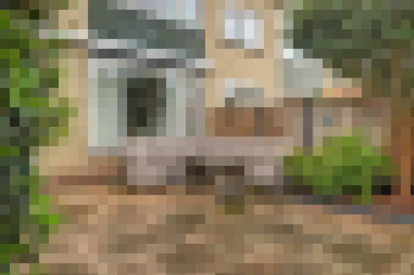 Marsdiepstraat 514 Den Helder thumbnail 32
