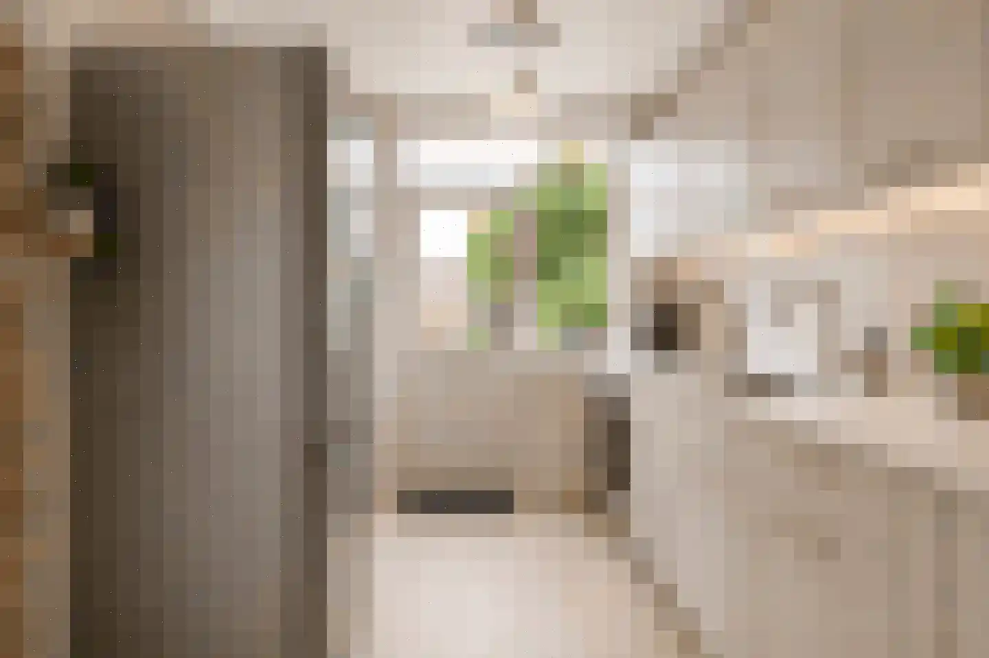 Marsdiepstraat 516 Den Helder thumbnail 8