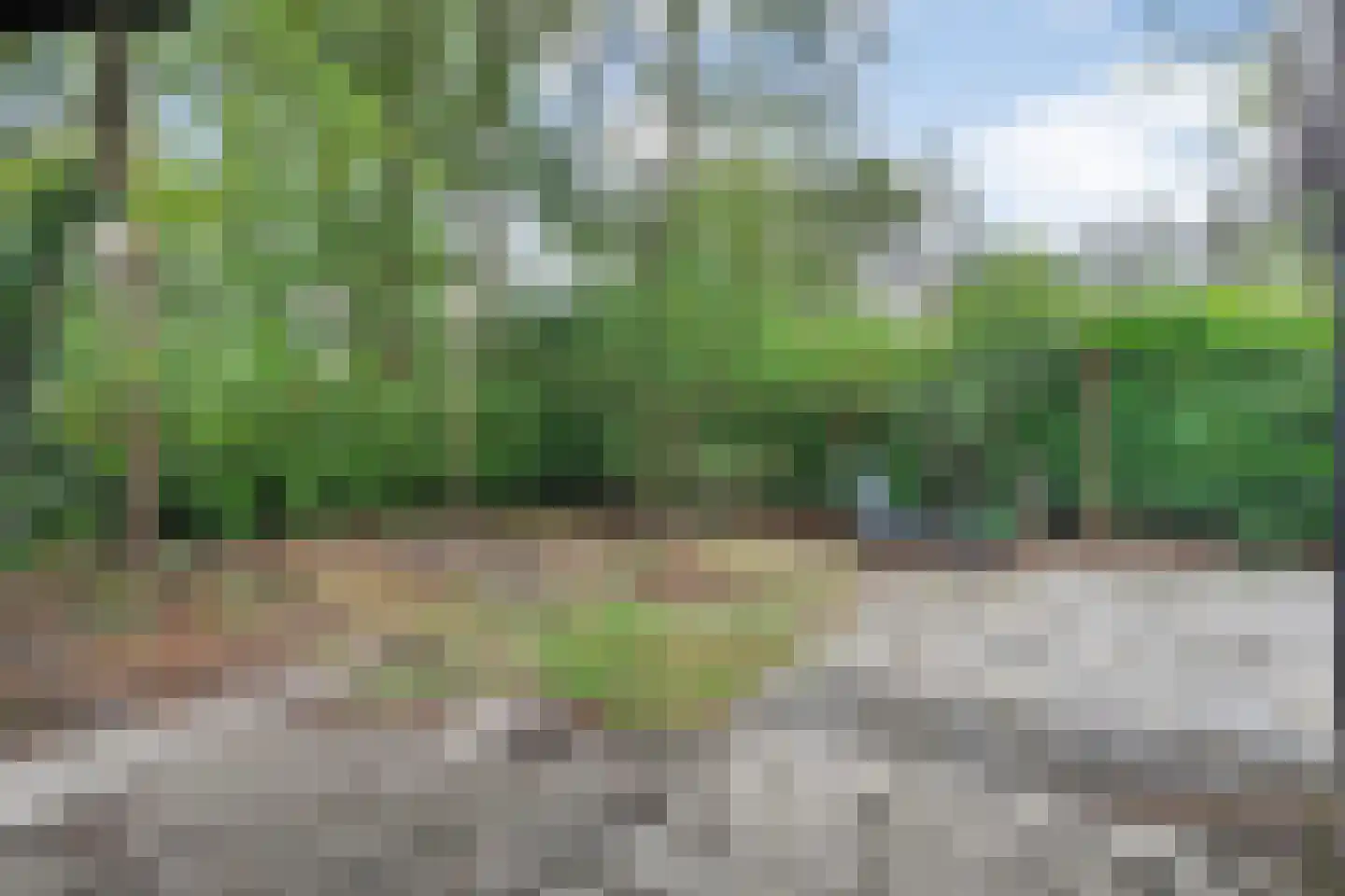 Marsdijk 3 004 Beerze thumbnail 15