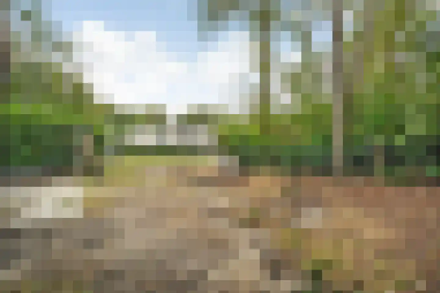 Marsdijk 3 004 Beerze thumbnail 16