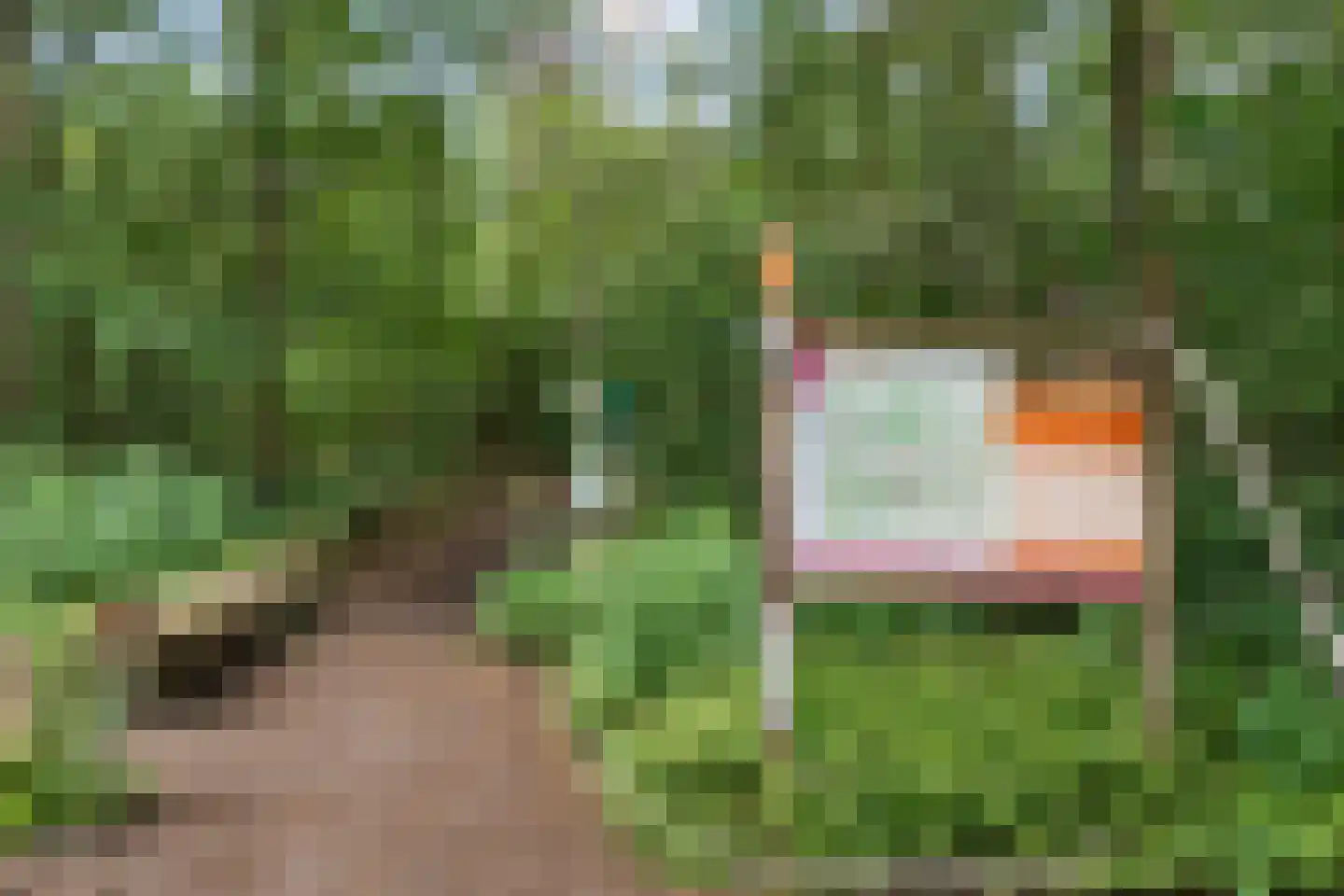 Marsdijk 3 004 Beerze thumbnail 17