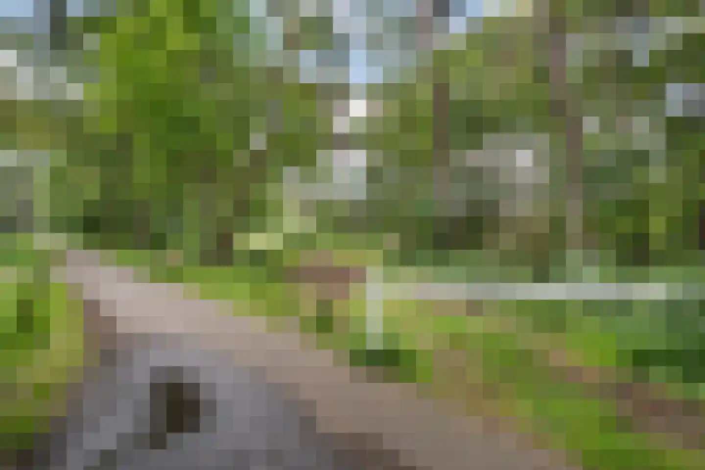 Marsdijk 3 004 Beerze thumbnail 18