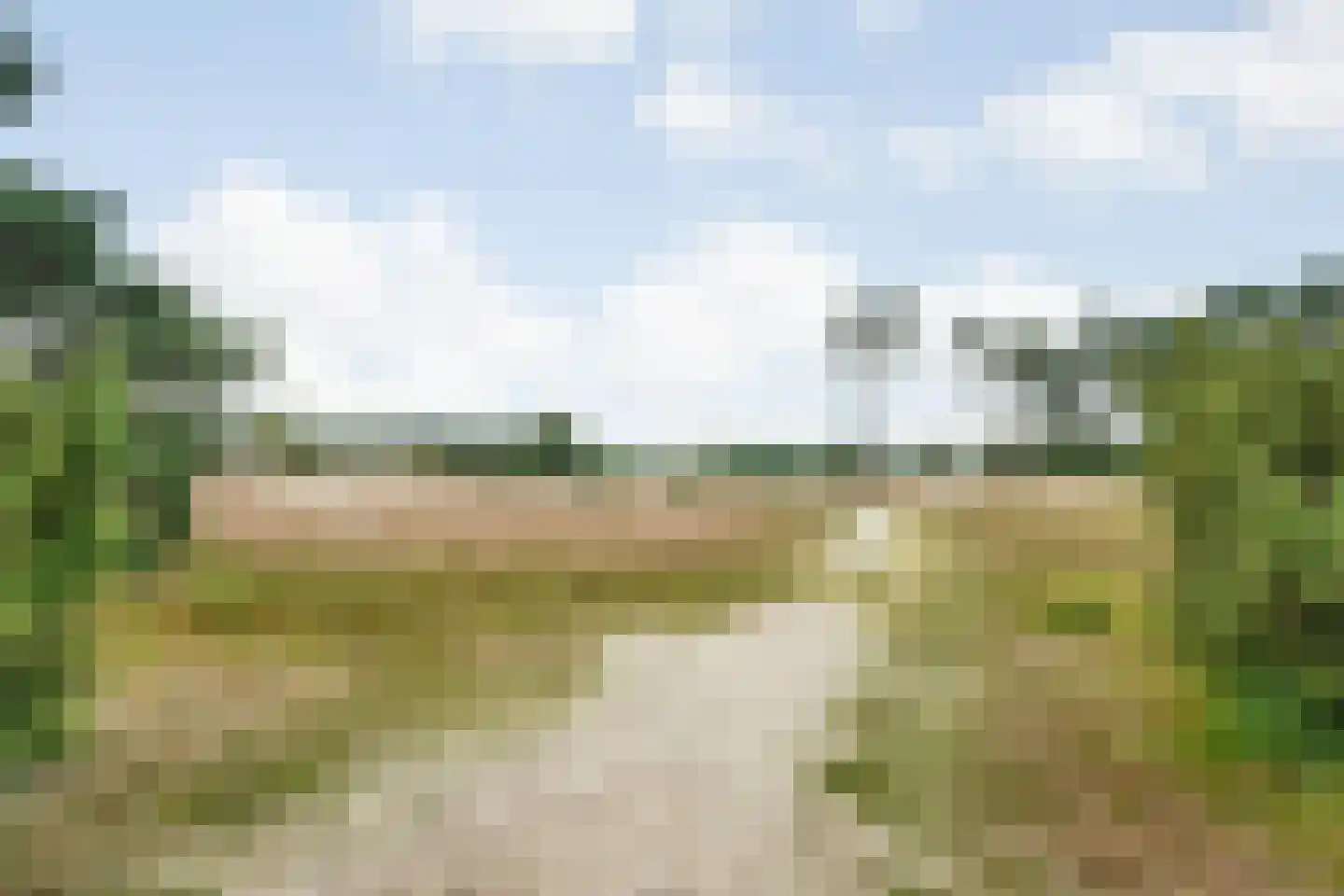 Marsdijk 3 004 Beerze thumbnail 19