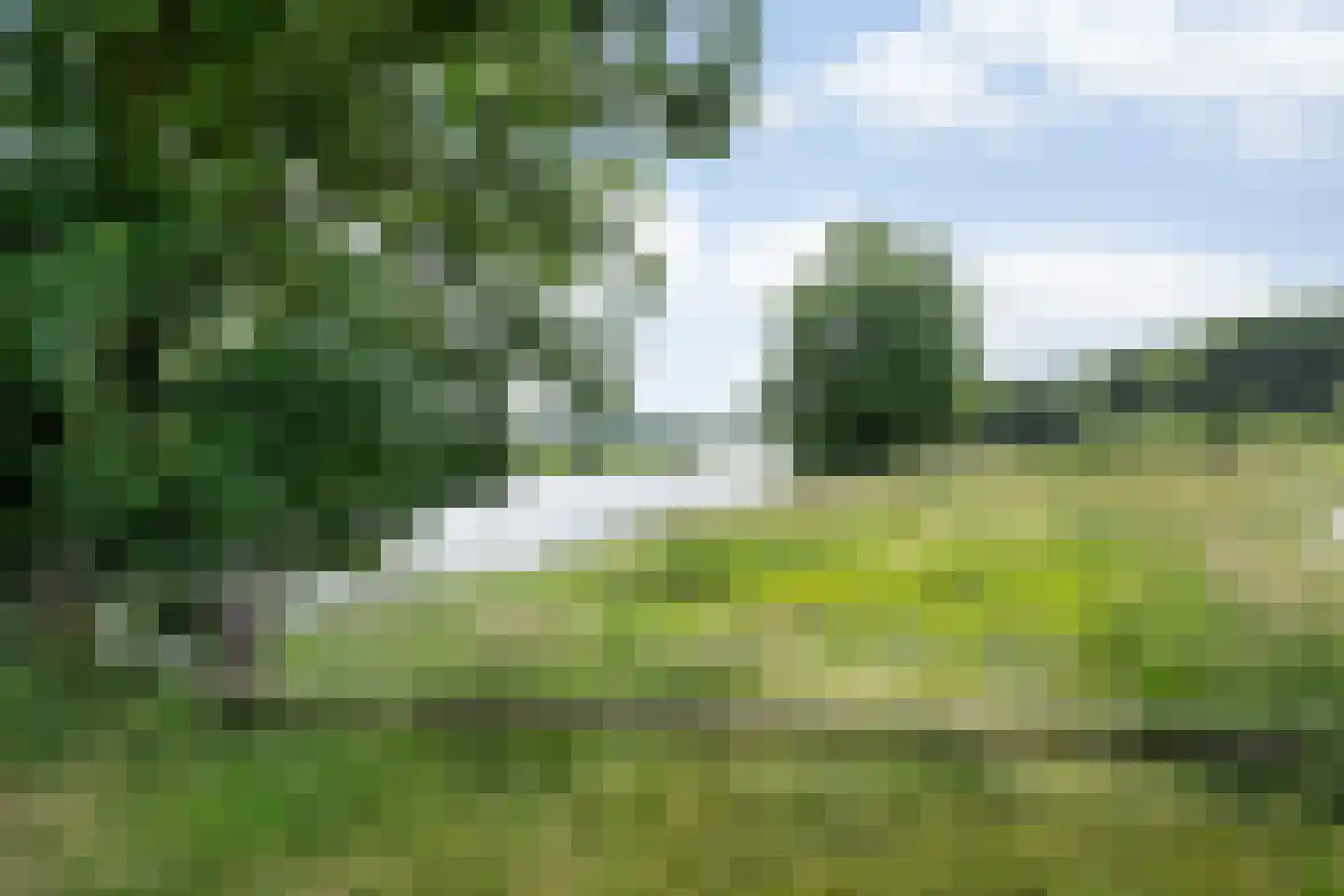 Marsdijk 3 004 Beerze thumbnail 20