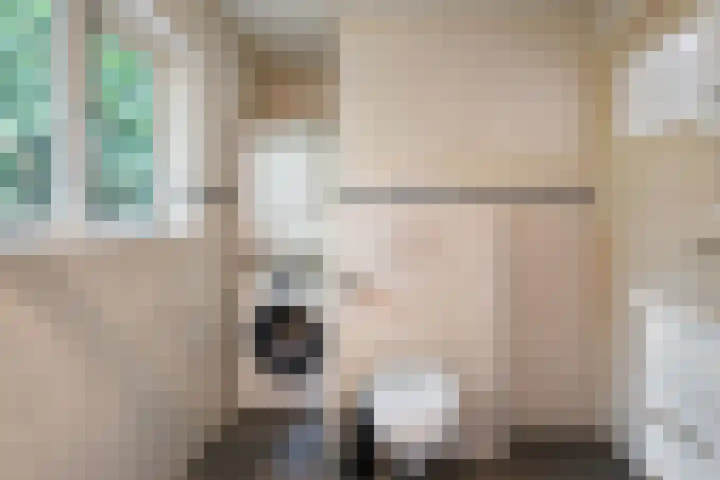 Marsdijk 3 004 Beerze thumbnail 9